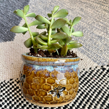 Load image into Gallery viewer, Honeycomb Succulent Planter